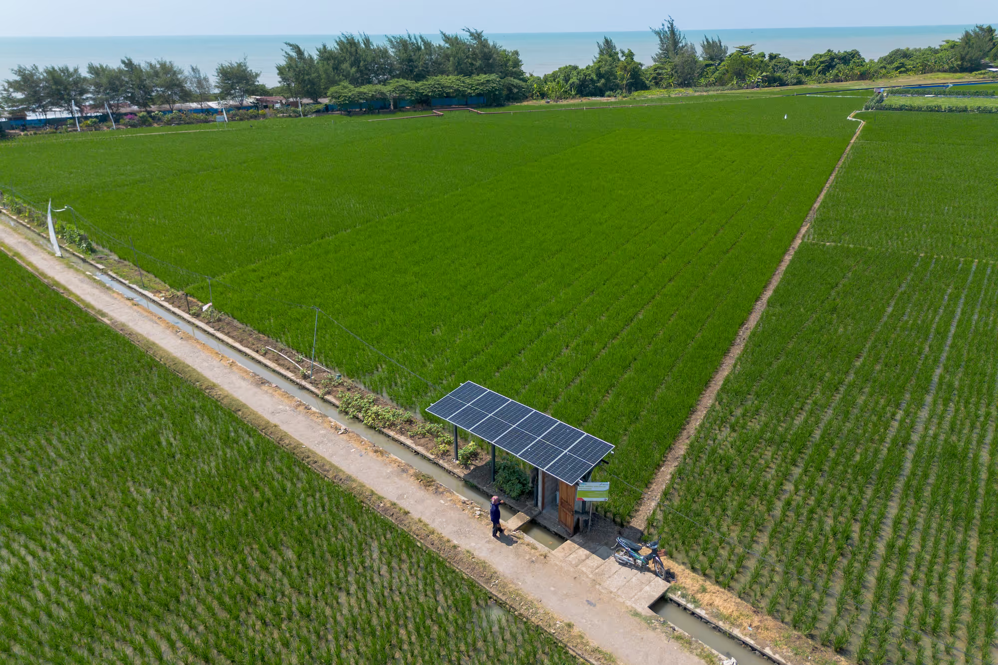 Indonesia’s Bold Solar Plan Pledges a Power Plant for Every Village - But Can It Deliver?