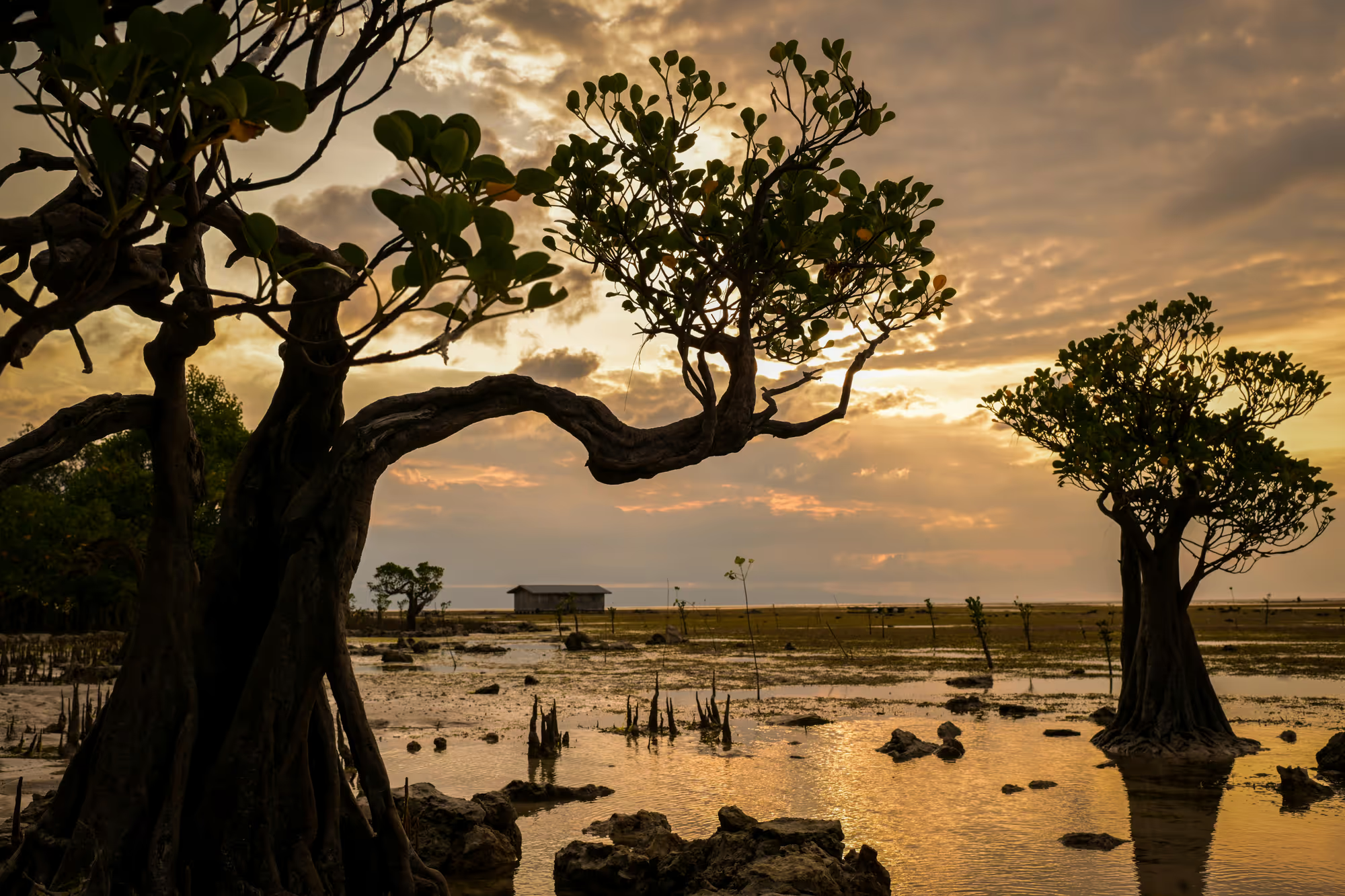 Public Holidays, School Breaks Drive Surge in Travel and Spending